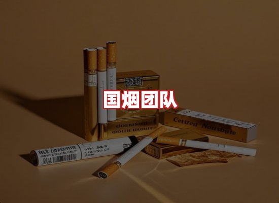 国烟团队